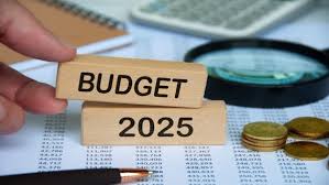 पहली फरवरी को वित्तीय वर्ष 2025-26 के लिए आम बजट पेश करने की तैयारियां जोरों पर